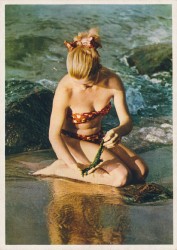 01aVVRac 1213 Mädchen in Bikini (1957)
