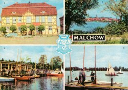 01bBHRac 6219a MALCHOW (1966)