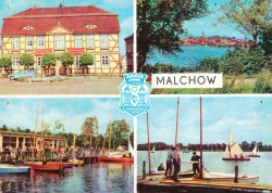 01bBHRac 6219b MALCHOW (1969)
