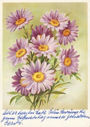01aVVRac 2507 Blumen (1958)