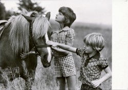 01bBHRa G4366 Pferd und Mädchen