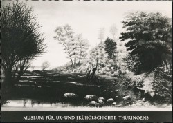 01bBHRa M619K Weimar MfUFGTh Umwelt des Ehringsdorfers