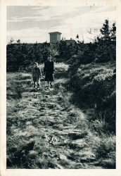 WKH oN Abstieg vom Brocken (Heimatkalender 1953)