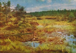 DFWac 3444 Naturschutzgebiet Georgenfelder Moor (1970)