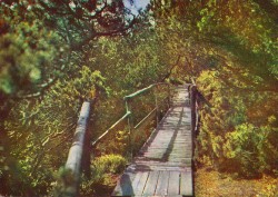 DFWac 3445 Naturschutzgebiet Georgenfelder Moor (1971)