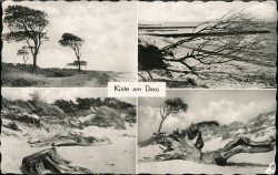 13DTVL oN Küste am Darss (1959)