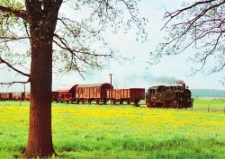 01eBHR(Q)nc 01-17-0145 Traditionsbahn Radebeul Ost-Radeburg