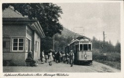 SFM oN Friedrichroda Waldbahn (1950)