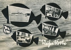01bBHRa 01-3314K Weiße Flotte Stralsund