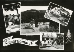 FMS 1825 Gruß aus Schnarrtanne (1966)