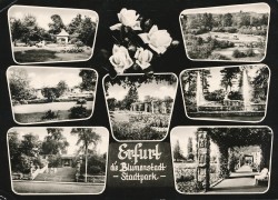 SFM 5673 Erfurt die Blumenstadt Stadtpark (1961)