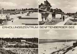 01bBHRn 01-06-11-167 EZ SENFTENBERGER SEE (1977)