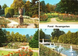01bBHRnc 01-06-0064 Forst Rosengarten