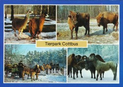 01bBHRnc 01-06-0154-31K Tierpark Cottbus