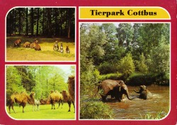 01bBHRnc 01-06-0245-31K Tierpark Cottbus