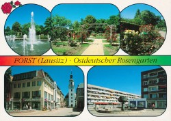01fBHR(Q)nc 06-0678-06 FORST Ostdeutscher Rosengarten