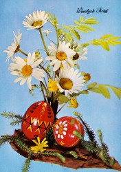 #PL KAWc 51- 698 Frohe Ostern
