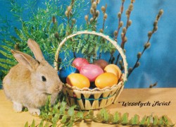 #PL KAWc 51-1354 Frohe Ostern