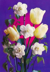 #PL KAWc 52-2003 Blumen