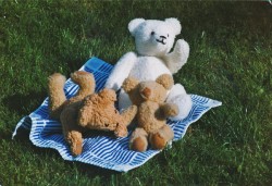 #FOTO 1998 Teddys in Hellenthal 6