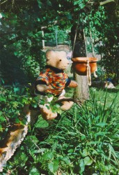 #FOTO 1998 Teddys in Hellenthal 7