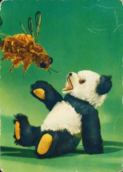 08aPVBa oN Teddy und Biene (1963)