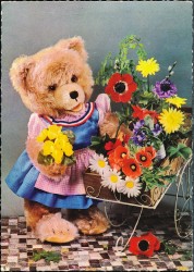ANHc oN S1-71 Schuco Teddy steckt Blumen