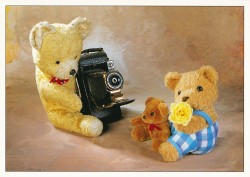 SCLc Teddy1400 Teddys beim Fotograf