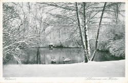 FRD    324 Weimar Schwansee im Winter -gs