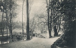 KSW 195710 Weimar Naturbrücke im Park KSW 195710 Weimar Naturbrücke im Park