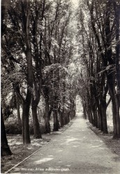 LHW oN Weimar Allee zur Fürstengruft LHW oN Weimar Allee zur Fürstengruft