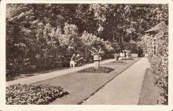 MWW oN Weimar Belvedere Thüringer Gartenbau-Ausstellung MWW oN Weimar Belvedere Thüringer Gartenbau-Ausstellung