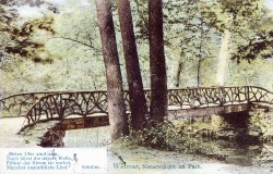 ZVDc 580 Weimar Naturbrücke im Park (1909) -he ZVDc 580 Weimar Naturbrücke im Park (1909) -he