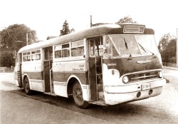 01bBHRn ZSo 1662-08K 90 Jahre Stadtverkehr Omnibus 51