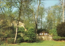 NFGnc oN Weimar Borkenhäuschen im Park NFGnc oN Weimar Borkenhäuschen im Park