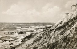 10WVG     3 Ahrenshoop Steilküste (1958)