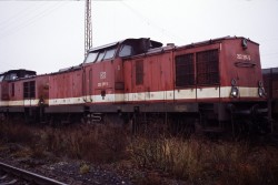 04864  -  30.11.1995 - Erfurt  -  202 251-5 -